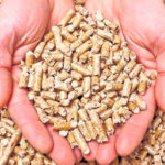 energias-renovables-con-biomasa-y-pellet-manos